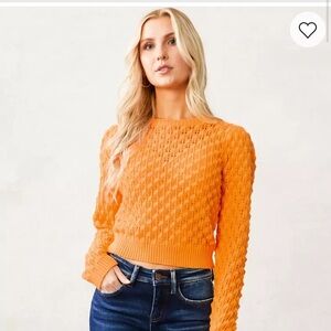 Buckle Orange Crew Neck Sweater with Textured Knit